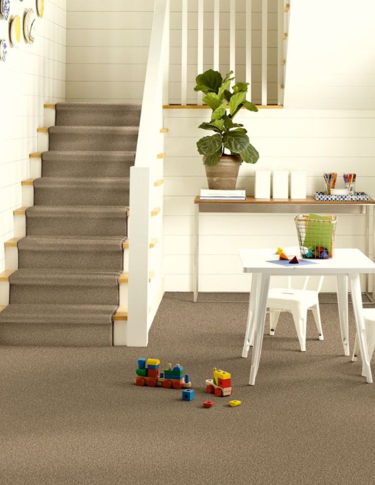 carpets in an entryway and stairway